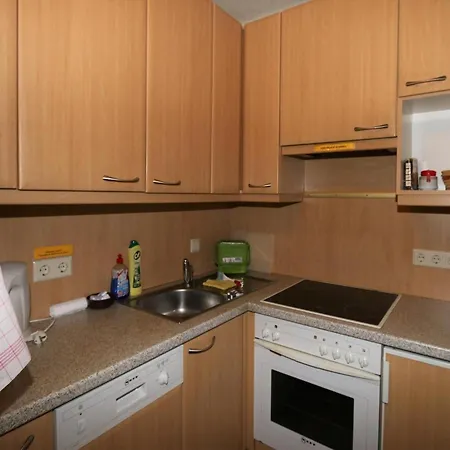 Apartment In Vorberg Near Dachstein Glacier *